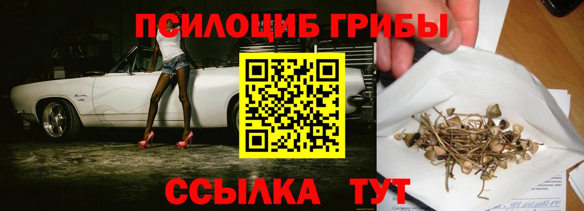 Псилоцибиновые грибы Psilocybe Острогожск