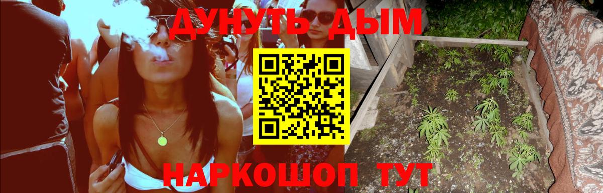 Бошки Шишки тримм  Вход с VPN  Каннабис индика  Бошки Шишки тримм  Бошки Шишки тримм  Острогожск 